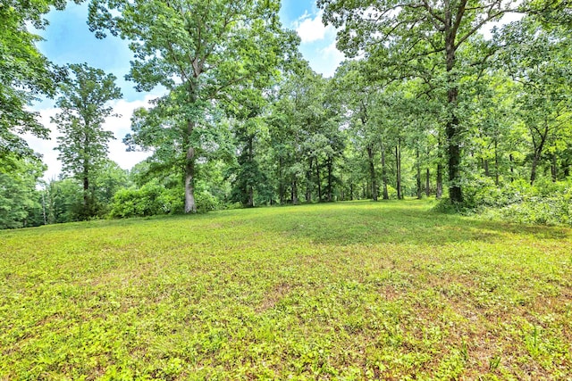 5185 Old Harding Rd, Franklin, TN 37064 - photo 19