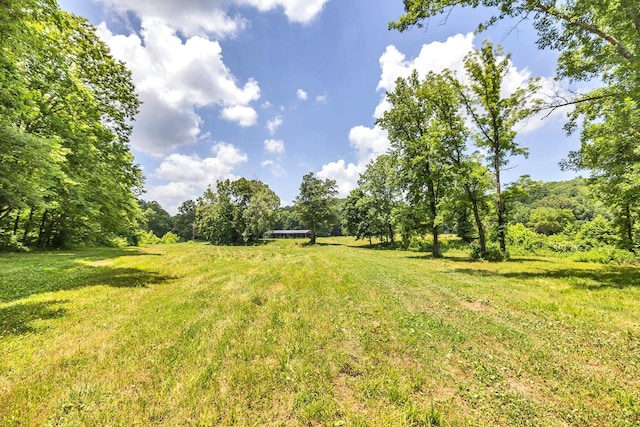 5185 Old Harding Rd, Franklin, TN 37064 - photo 21