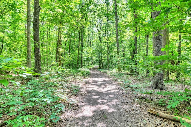 5185 Old Harding Rd, Franklin, TN 37064 - photo 25