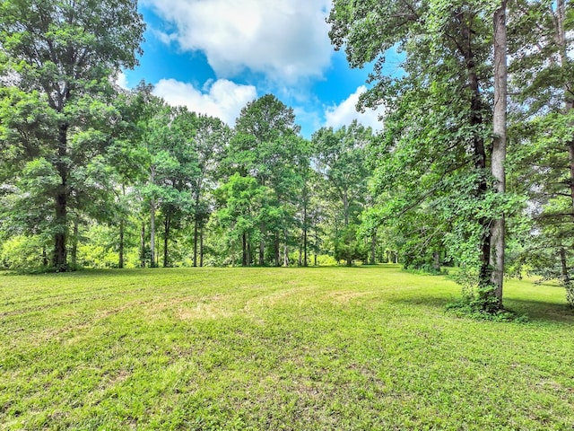 5185 Old Harding Rd, Franklin, TN 37064 - photo 7
