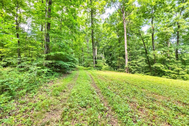 5185 Old Harding Rd, Franklin, TN 37064 - photo 22