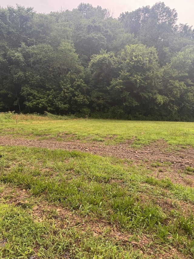 150 Pine Lick Rd, Whitleyville, TN 38588