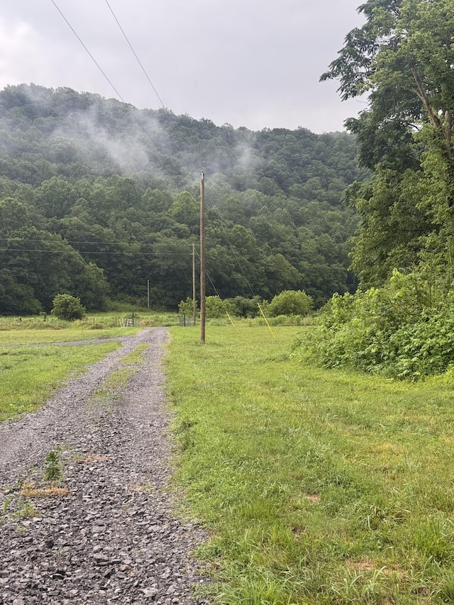 150 Pine Lick Rd, Whitleyville, TN 38588