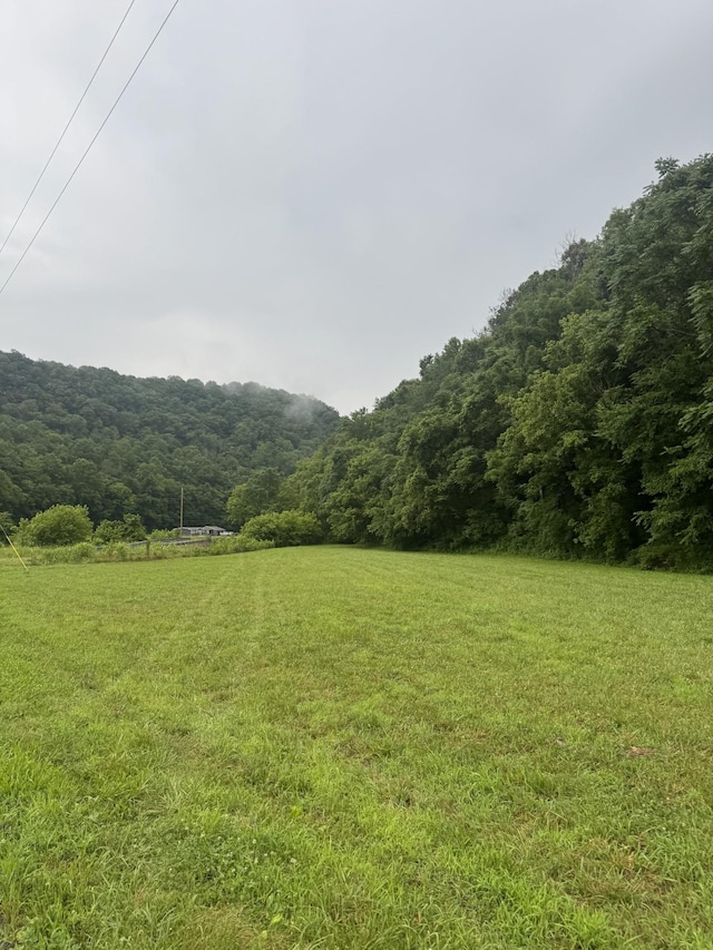 150 Pine Lick Rd, Whitleyville, TN 38588
