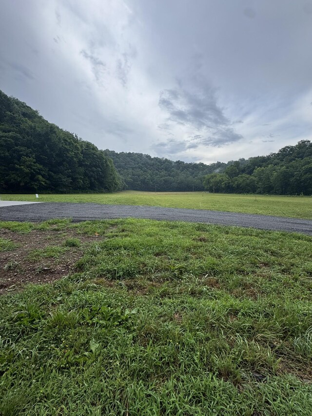 150 Pine Lick Rd, Whitleyville, TN 38588
