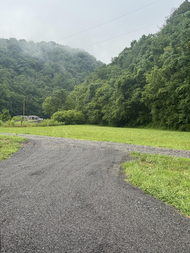 150 Pine Lick Rd, Whitleyville, TN 38588