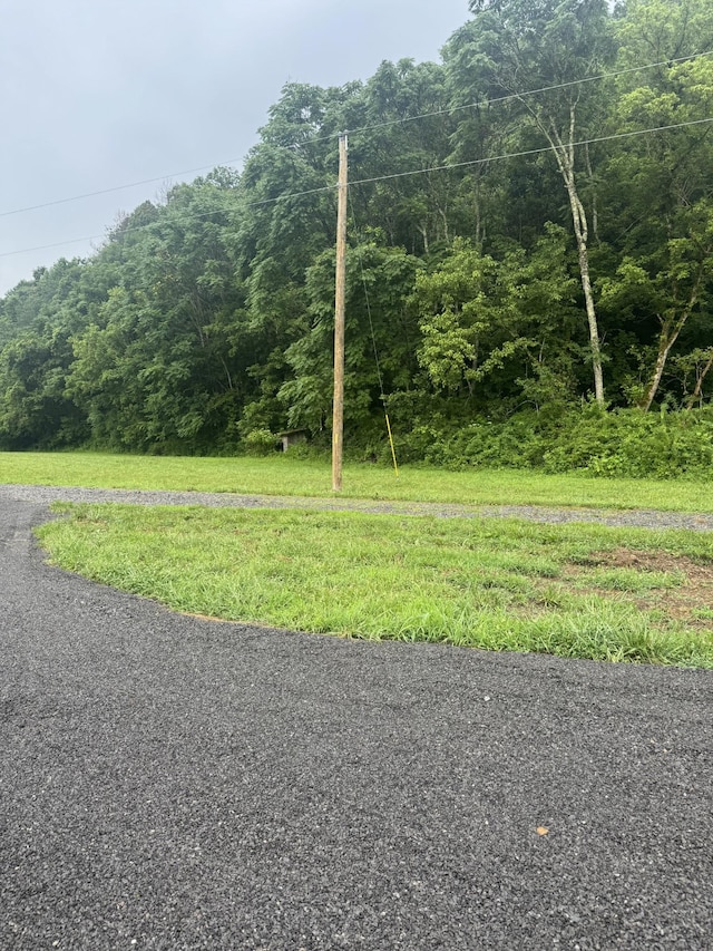 150 Pine Lick Rd, Whitleyville, TN 38588