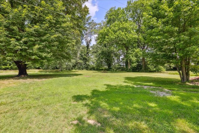 8248 Pleasant Hill Rd, Cross Plains, TN 37049 - photo 29