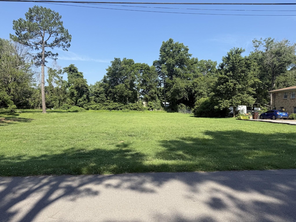 106 Lynn Lee Dr, Old Hickory, TN 37138 - photo 3
