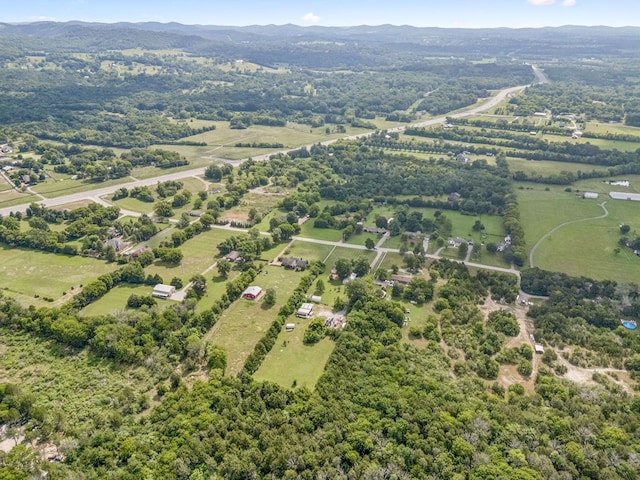 6227 Ladd Rd, Franklin, TN 37067 - photo 66