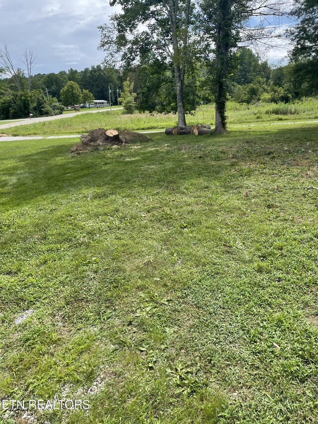 4516 Nashville Hwy, Deer Lodge, TN 37726 - photo 5