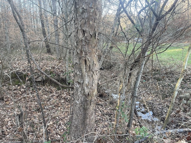 16 Autumn Trl, Dover, TN 37058