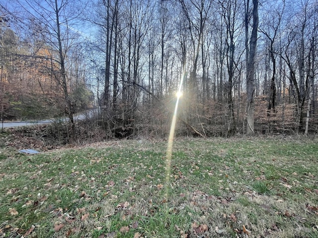 16 Autumn Trl, Dover, TN 37058