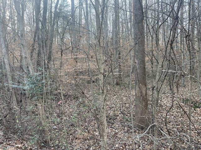 16 Autumn Trl, Dover, TN 37058