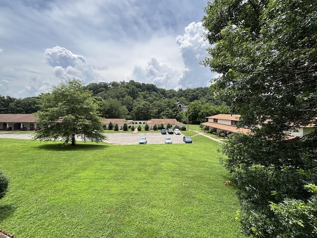 210 Old Hickory Blvd Unit 68, Nashville, TN 37221 - photo 37