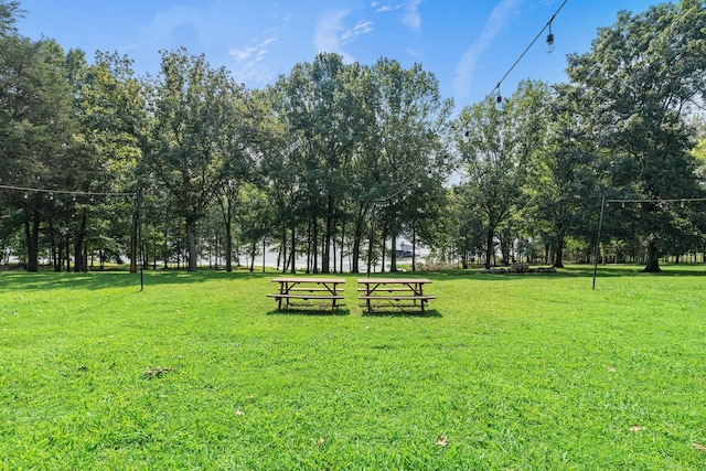 8530 Saundersville Rd, Mount Juliet, TN 37122 - view of community featuring a yard