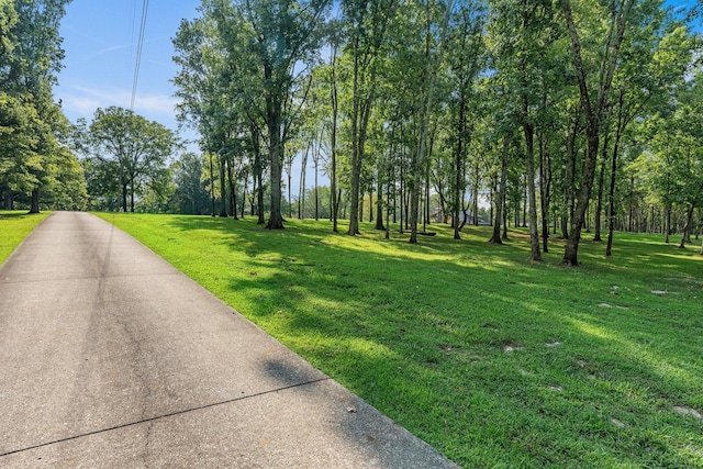 8530 Saundersville Rd, Mount Juliet, TN 37122 - view of street