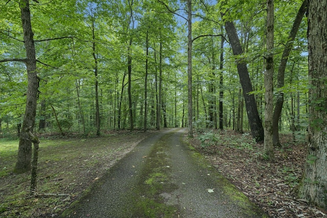 5723 Quest Ridge Rd, Franklin, TN 37064 - photo 8