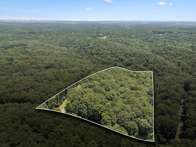 5723 Quest Ridge Rd, Franklin, TN 37064 - photo 35