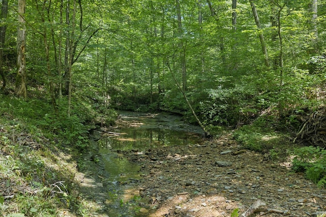 5723 Quest Ridge Rd, Franklin, TN 37064 - photo 7