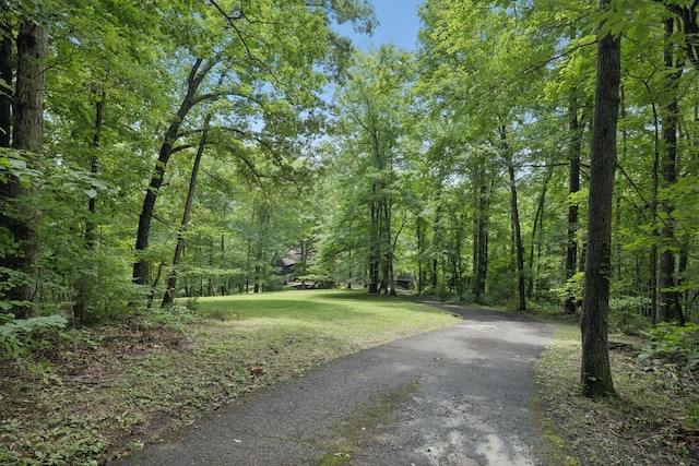 5723 Quest Ridge Rd, Franklin, TN 37064 - photo 9