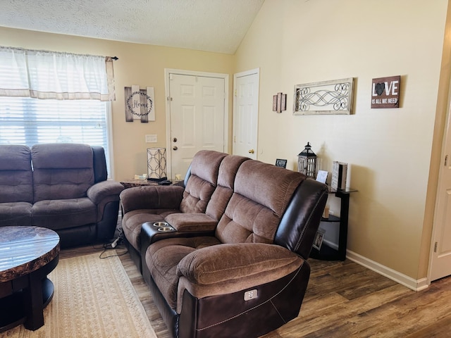 11013 Nevada Ave, Smyrna, TN 37167 - living area with wood finished floors and vaulted ceiling
