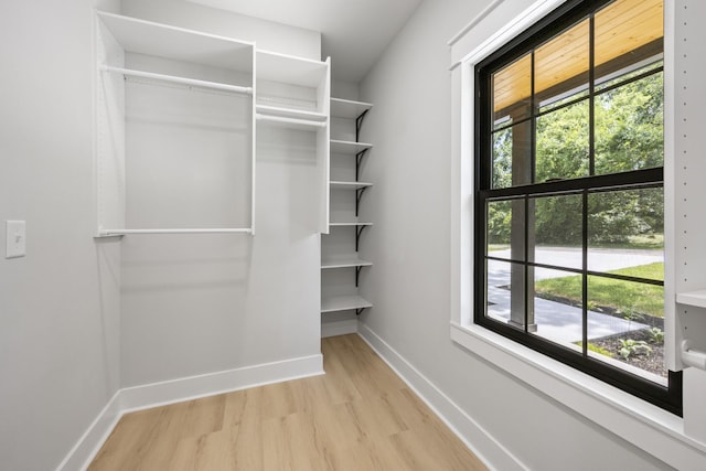 106 5th Ave N, Decherd, TN 37324 - walk in closet featuring light wood-style floors