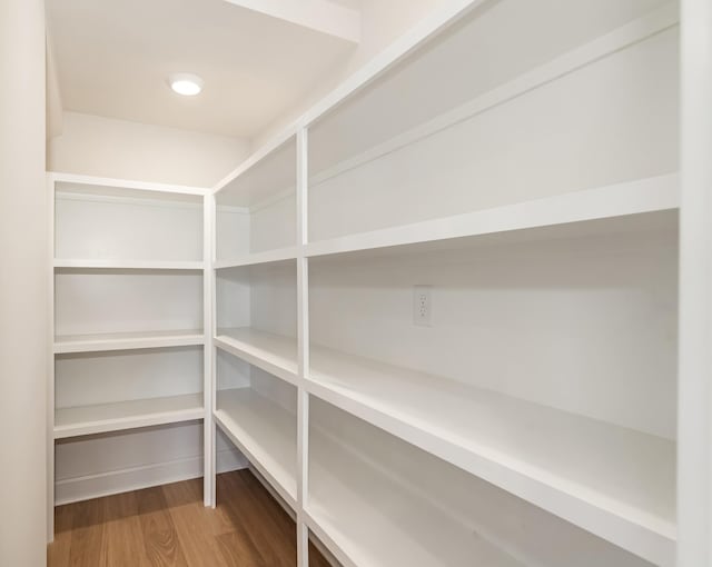 204 Phillips Bnd, Spring Hill, TN 37174 - view of pantry