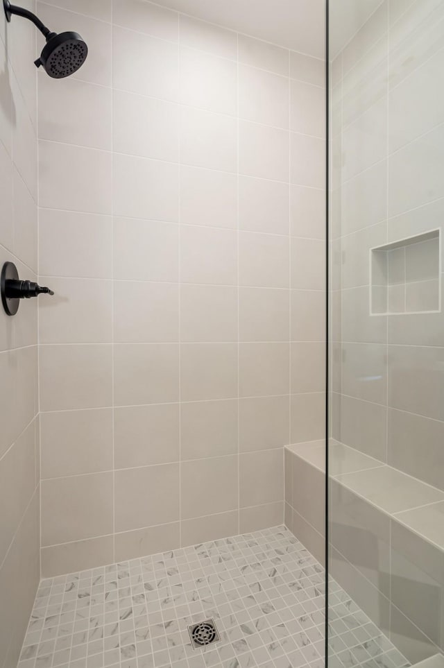 204 Phillips Bnd, Spring Hill, TN 37174 - full bath with tiled shower