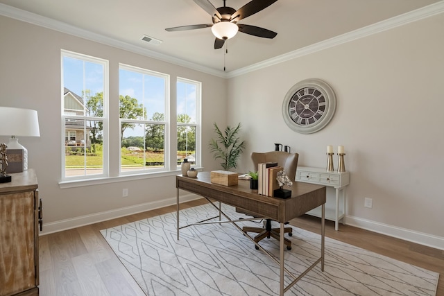 204 Phillips Bnd, Spring Hill, TN 37174 - home office featuring healthy amount of natural light, ornamental molding, light wood finished floors, and a ceiling fan