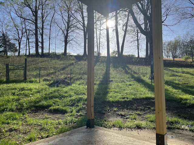 1000 Davis Hollow Rd, Minor Hill, TN 38473 - view of yard