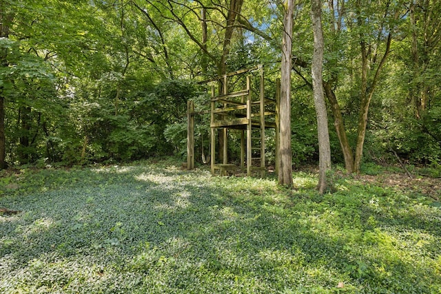 712 Roxburgh Cv, Brentwood, TN 37027 - view of wooded area