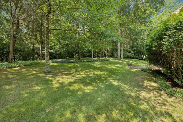 712 Roxburgh Cv, Brentwood, TN 37027 - view of green lawn