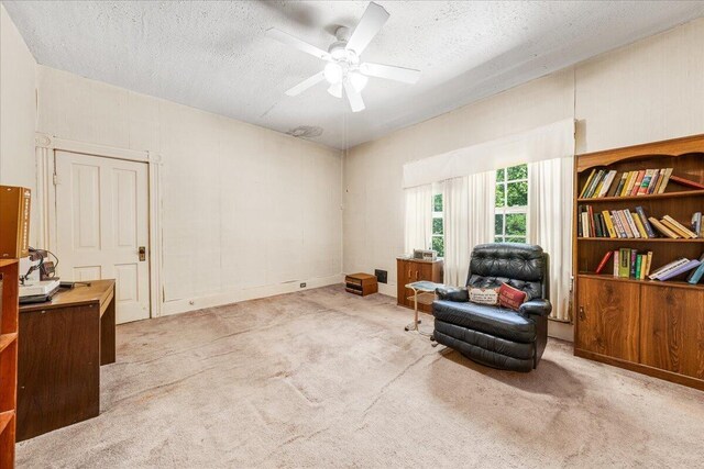 403 Hoffman Ave, Bridgeport, AL 35740 - photo 23