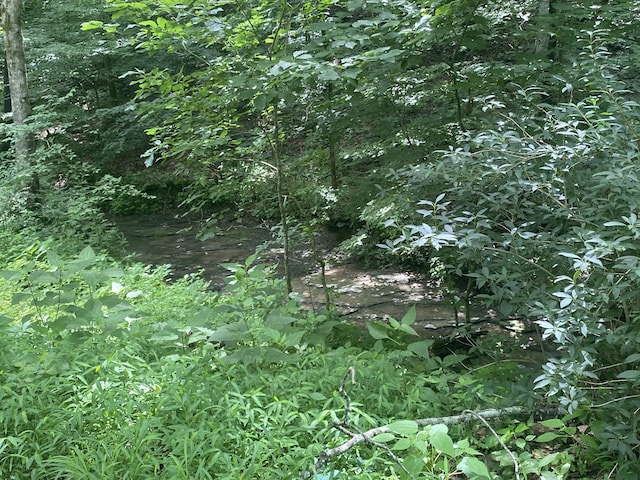 3240 Valley View Ct, Goodlettsville, TN 37072 - view of nature