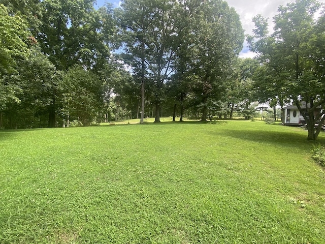3240 Valley View Ct, Goodlettsville, TN 37072 - view of green lawn with view of wooded area