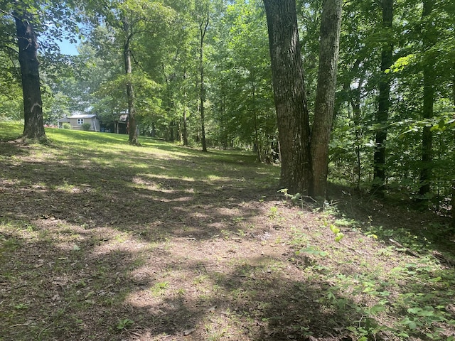 3240 Valley View Ct, Goodlettsville, TN 37072 - view of yard featuring a forest view