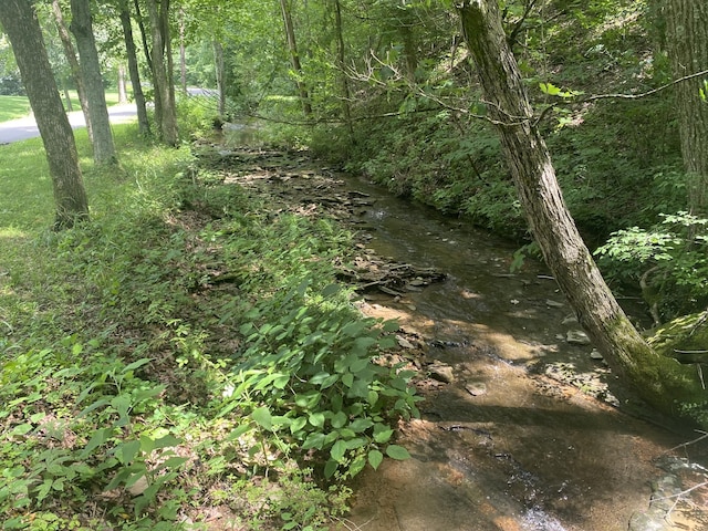 3240 Valley View Ct, Goodlettsville, TN 37072 - view of local wilderness