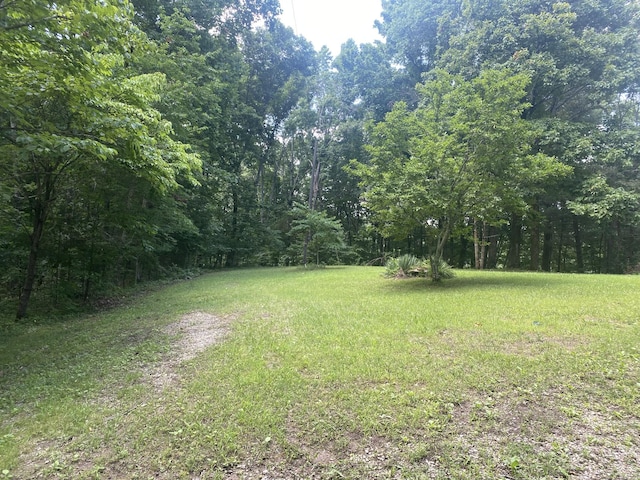 3240 Valley View Ct, Goodlettsville, TN 37072 - view of yard featuring a view of trees