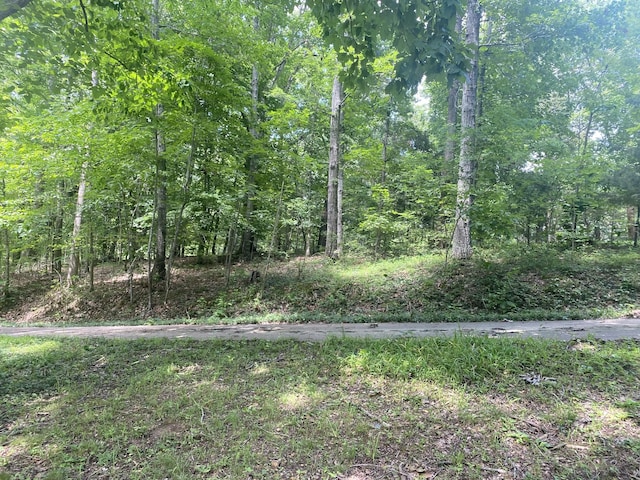 3240 Valley View Ct, Goodlettsville, TN 37072 - view of yard featuring a view of trees