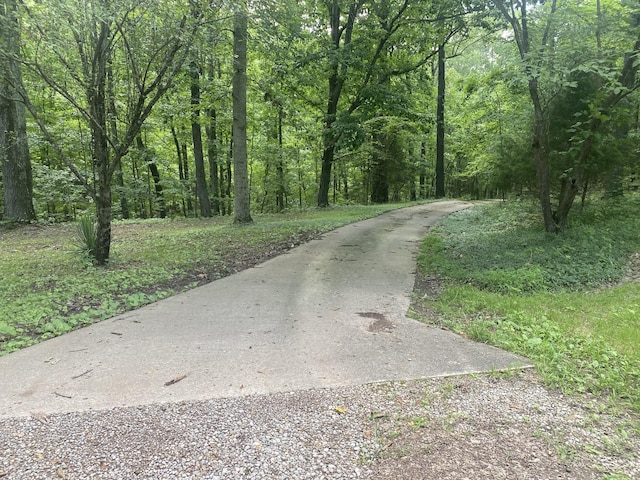 3240 Valley View Ct, Goodlettsville, TN 37072 - view of road with a view of trees