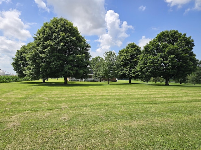 511 Snardon Mill Rd, Allensville, KY 42204 - photo 4