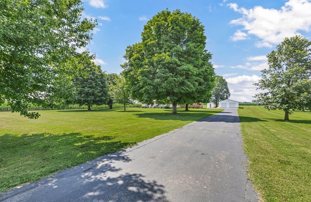 511 Snardon Mill Rd, Allensville, KY 42204 - photo 5