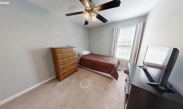 317 Telluride Ln, Murfreesboro, TN 37129 - photo 12