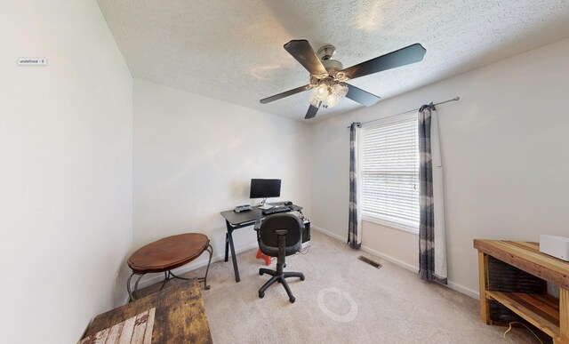 317 Telluride Ln, Murfreesboro, TN 37129 - photo 13