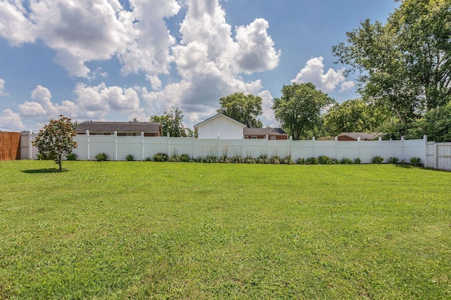 1107 Moreno Ln, Lewisburg, TN 37091 - view of yard