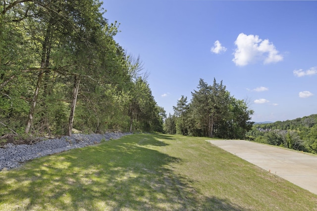 1884 Barnstaple Ln, Brentwood, TN 37027 - view of green lawn with a forest view