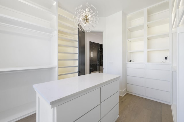 1884 Barnstaple Ln, Brentwood, TN 37027 - walk in closet with light wood finished floors