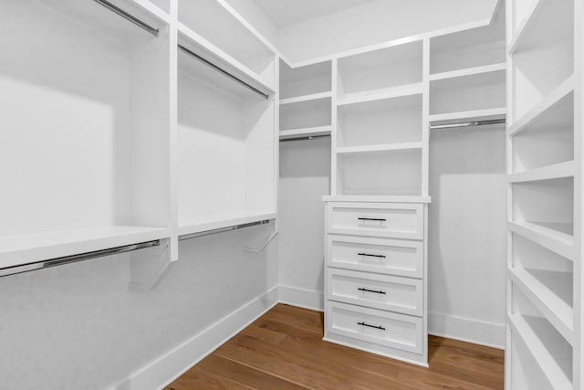 3244 Arundel Ln, Thompsons Station, TN 37179 - walk in closet featuring dark wood-style floors