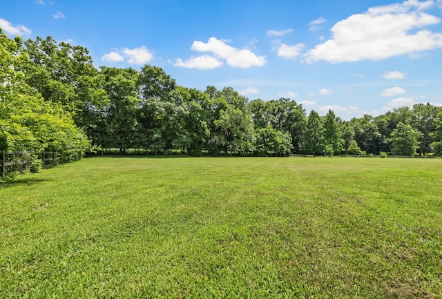 4575 Grovewood Ct, Clarksville, TN 37040 - photo 44